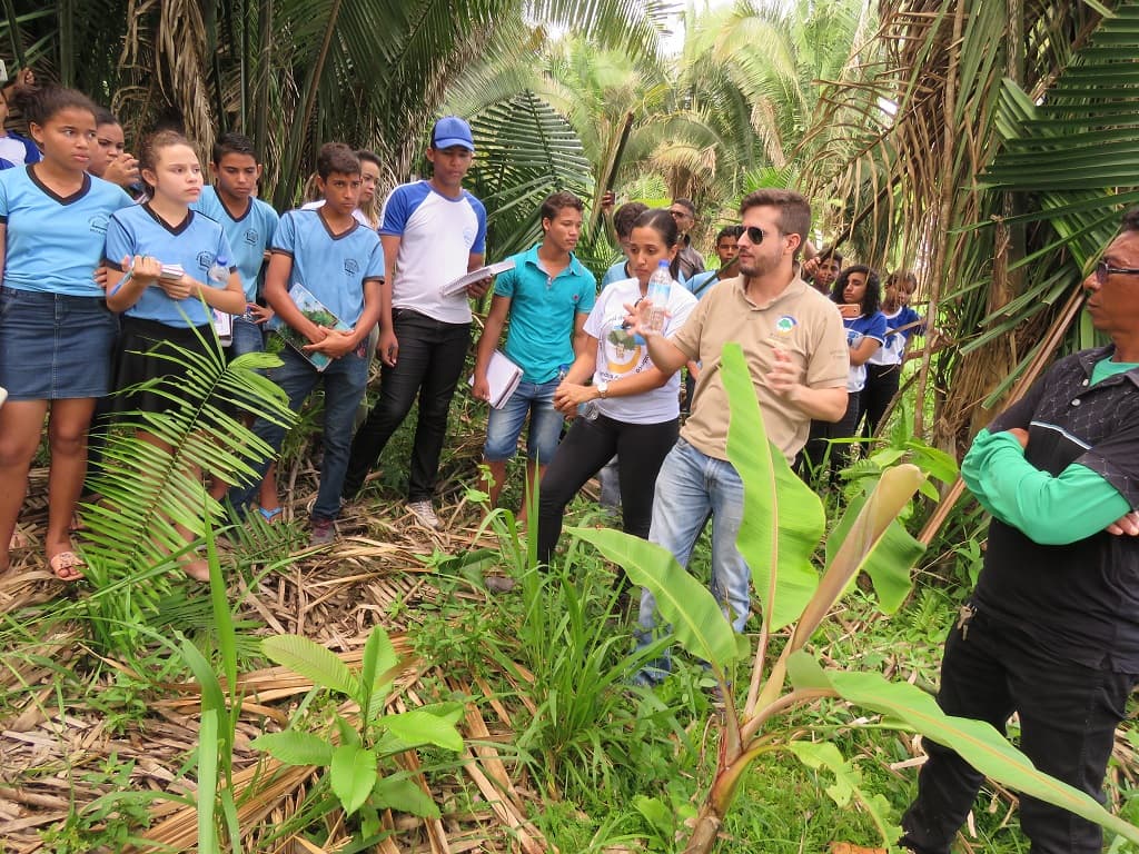 Caminhada Ecológica - foto 1