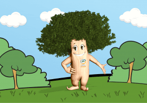 2 - Programa de Educação Ambiental