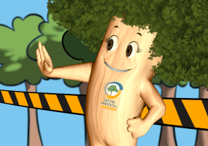 6 - Programa de Proteção à Flora